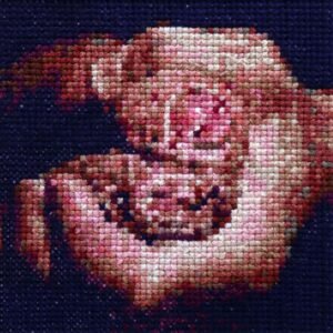 Frott — Original 4x4 Erotic Hand-Stitched Cross-Stitch Art | xstitchingman.com